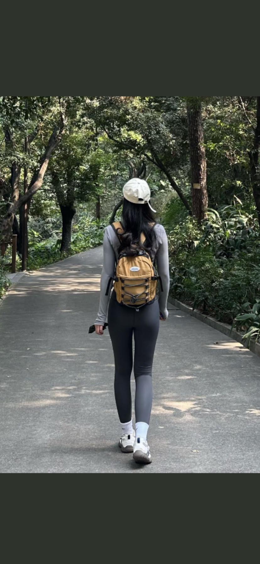 绿意盎然的小径，漫步在森林中，享受大自然的宁静与美好。