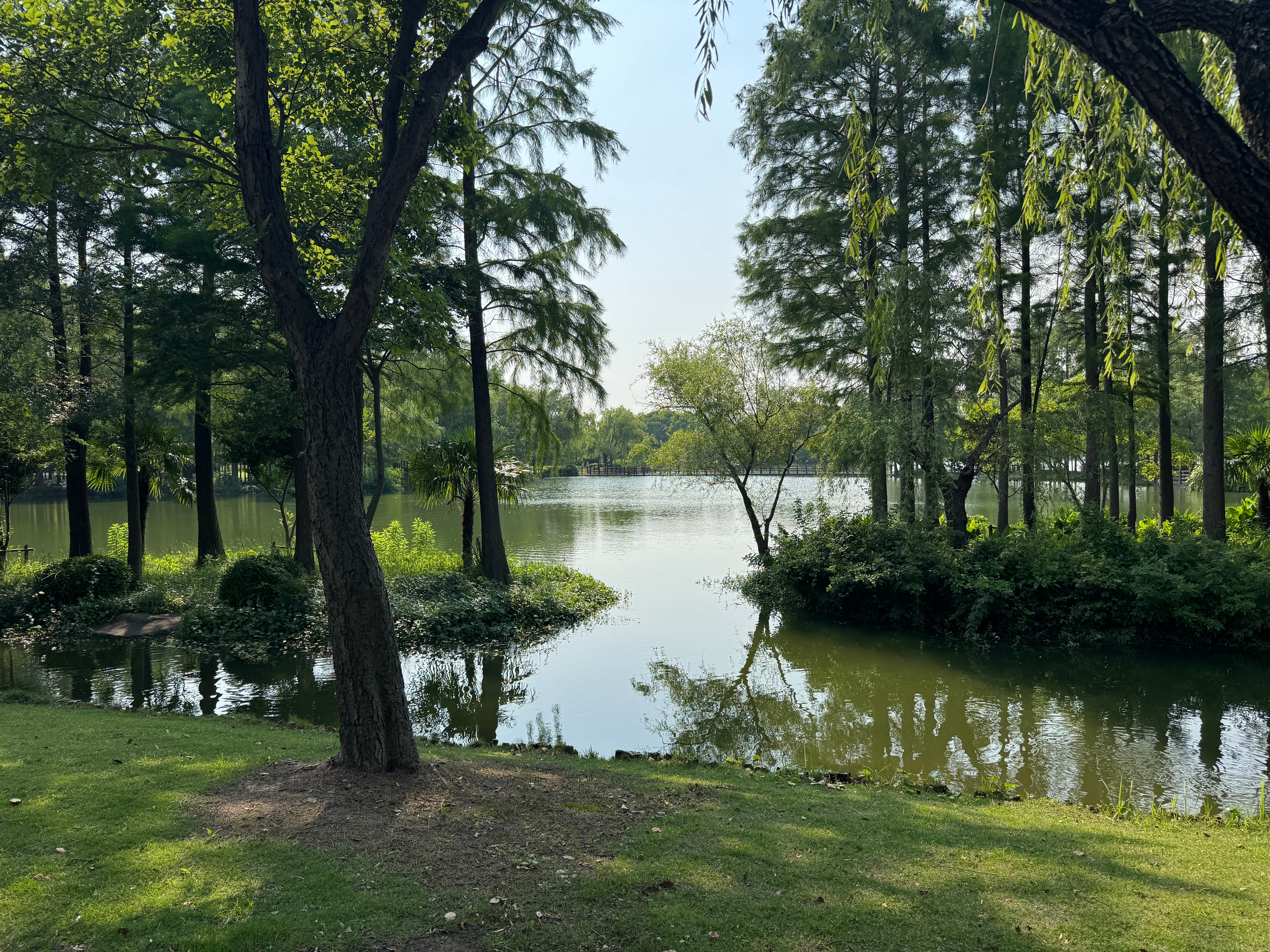 最大心率185跑10公里。太久没跑了，只有靠超频才能跑下来[捂脸] 跑步打卡  