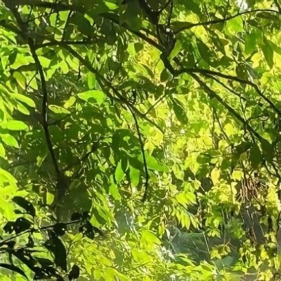 0000我们日行一善，并不是放下手中的一切事情，刻意地去做好事，而是带着善心，给