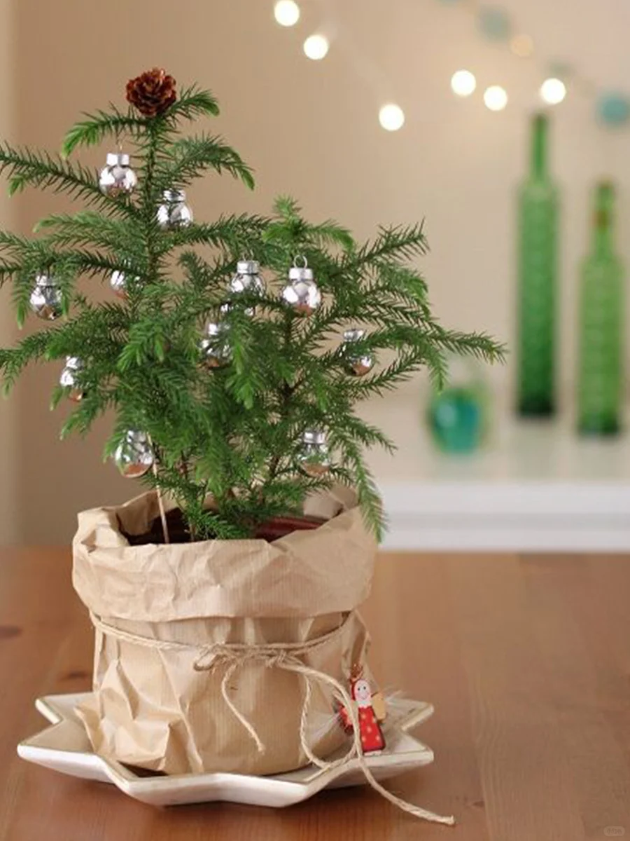 快来装扮你的Christmas吧~