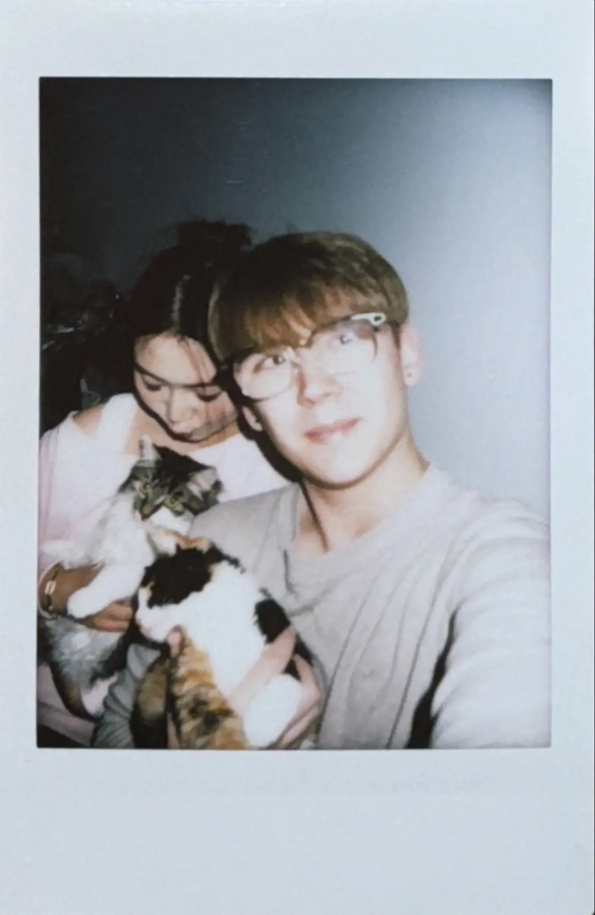 我们的全家福🤣也算是儿女双全了。两只小猫猫也成好朋友咯。感觉两只小猫...