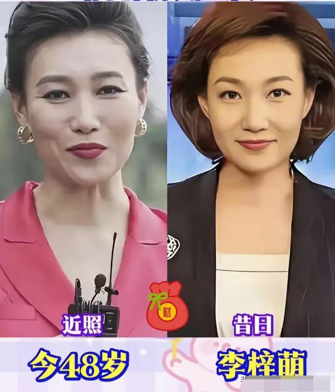 曾经守在电视机前的我们，对这些央视主持人无比熟悉。他们在荧幕上从容播报，陪伴无数