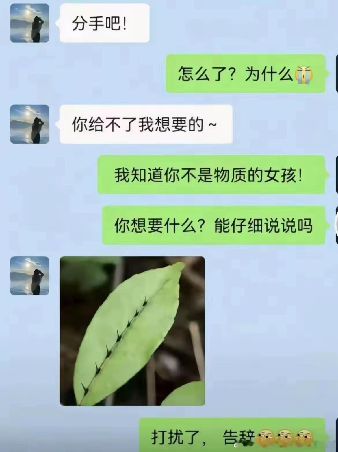 她到底想要什么？发个树叶是什么意思？ 