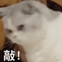 表情包安排上 εïз 更新不易，拿图点赞[心]更多表情包请看主页[心] ​​​