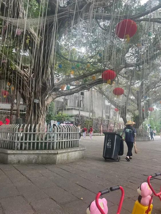 手机丢失竟然失而复得！这是我和老母亲身经历在惠州发生的真实事情。这里不仅自然风光