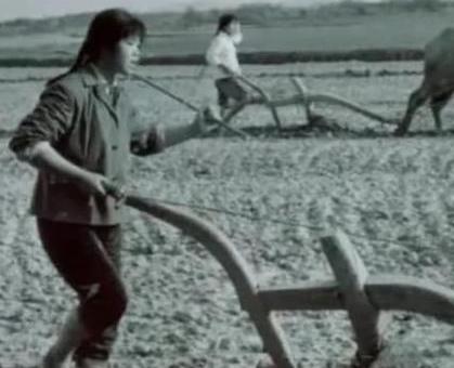 1977年，32岁女知青刘琦返城无望，嫁给一位农民。新婚之夜，她对丈夫说：“你对