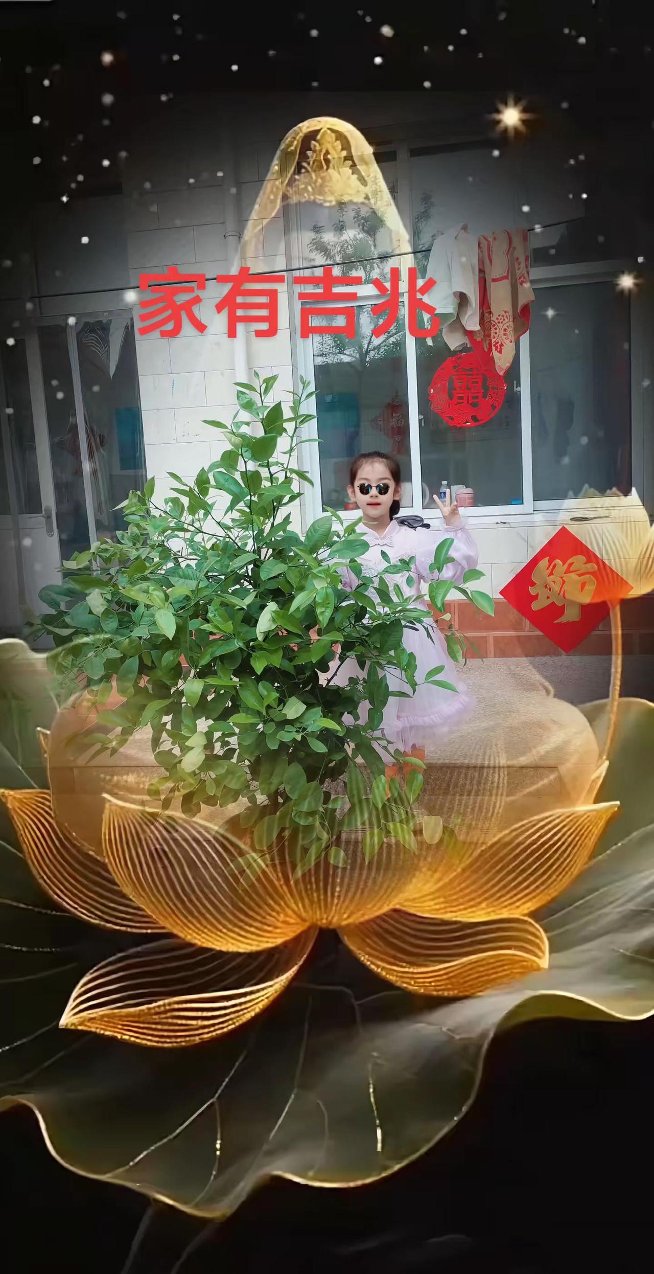 老人常说，草木繁茂，家宅兴旺，绿植蓬勃向阳。便是家有好运的最好预兆🙏🏻🙏?