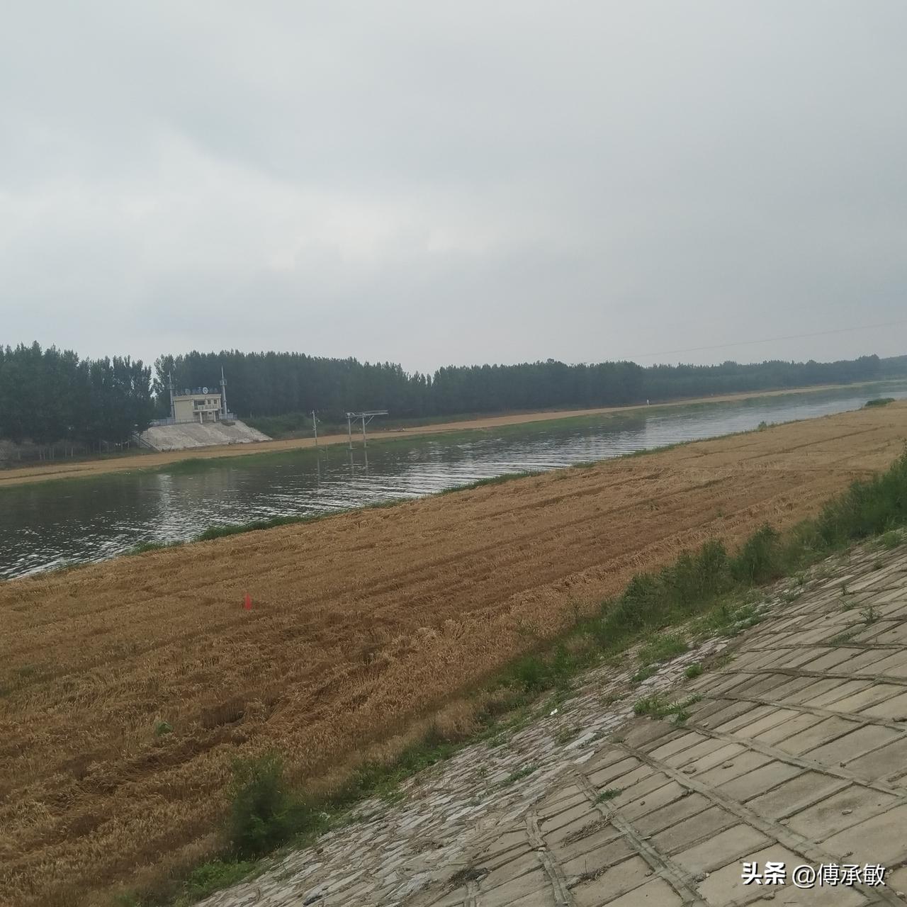 从明清漕运粮仓到新时代吨半粮市 德州走好守粮富民振兴路
       明清时期，