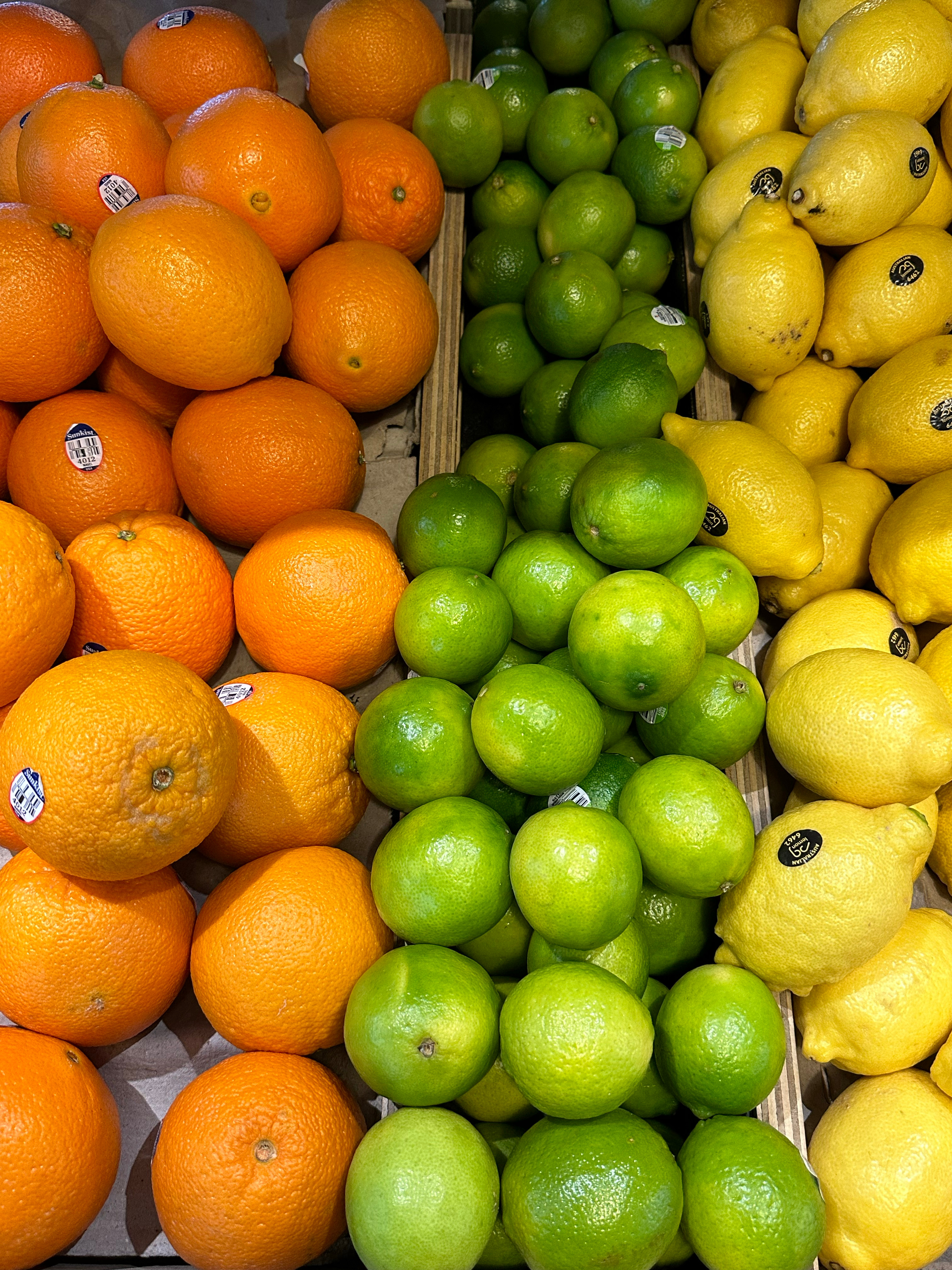 🧩🍊💐🌅☕️… ​​​