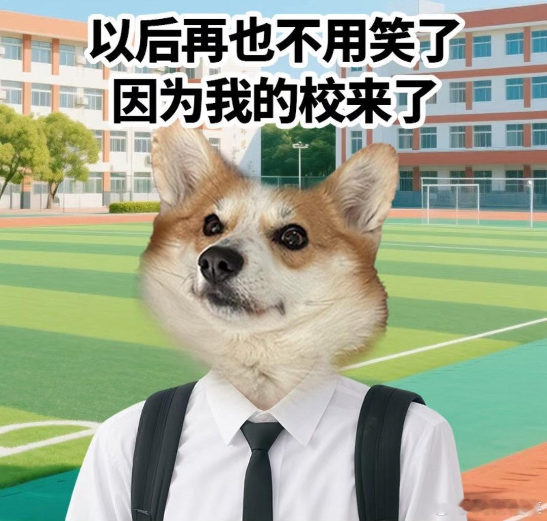 这才是上学最幸福的时刻教室窗外有晚霞，身边有陪伴的同学，平凡的校园日常全是幸福感
