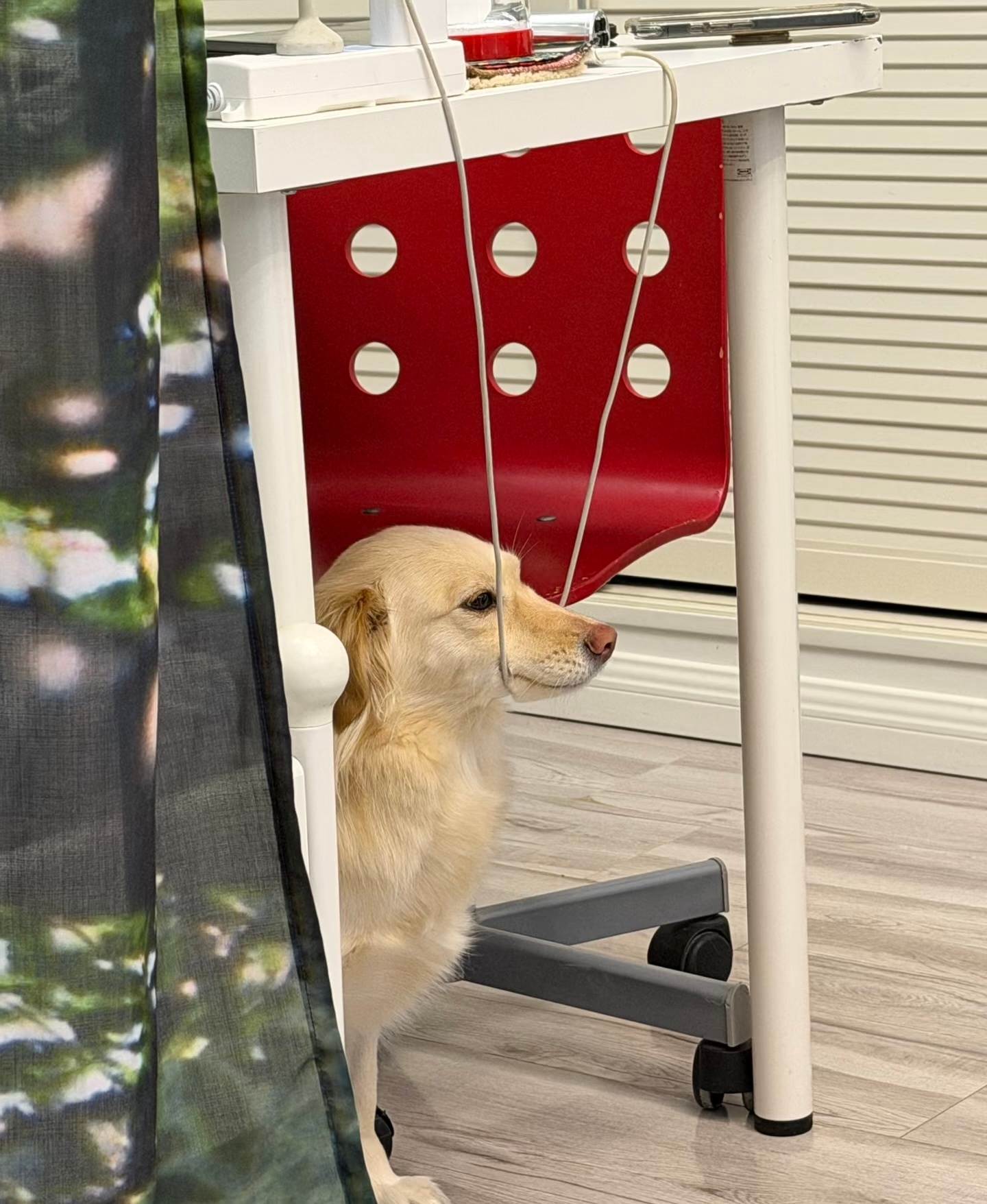 上班上累了上个吊放松一下 