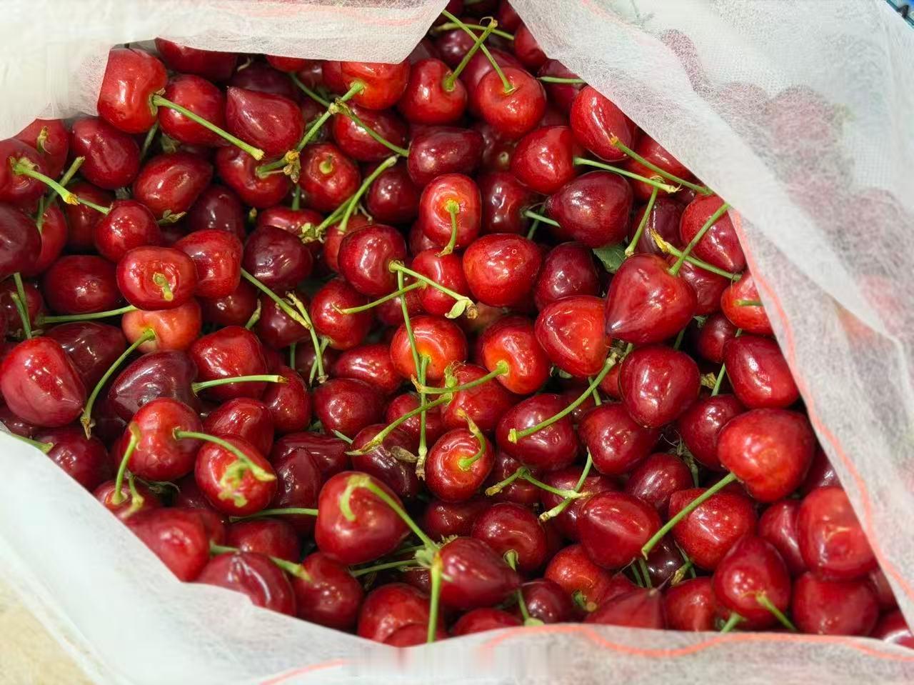 杨梅泡药事件冲击浙江杨梅市场 这个季节吃樱桃🍒多美啊酸甜适口的樱桃正是时令好物