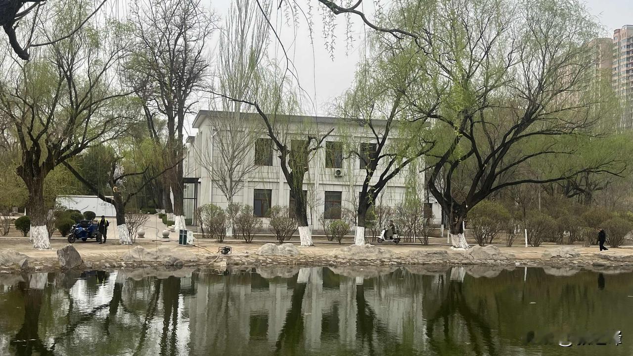 有着年轮记忆的这个地方你觉得这里缺了些什么？
时光里的老地方 这是呼和浩特青城公