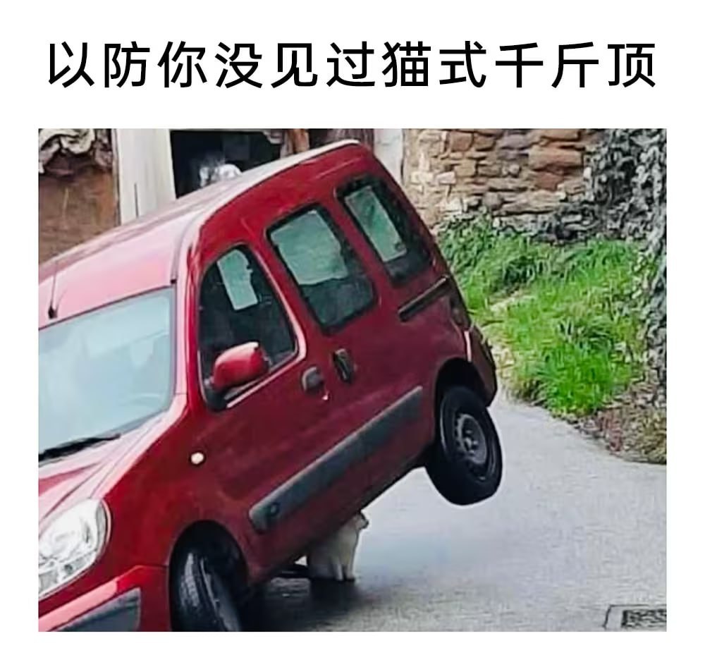 难顶 ​​​