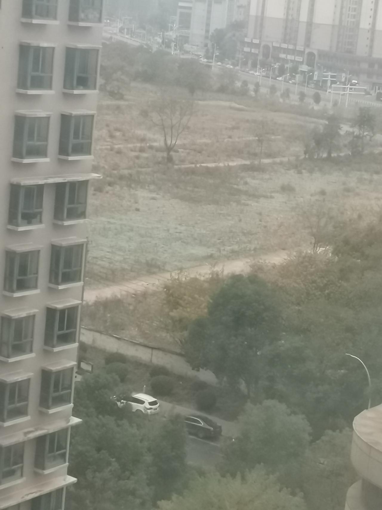 现在很多城市的裸露土地上都铺上了绿色的网，大家说这算不算造假。
因为房地产不景气