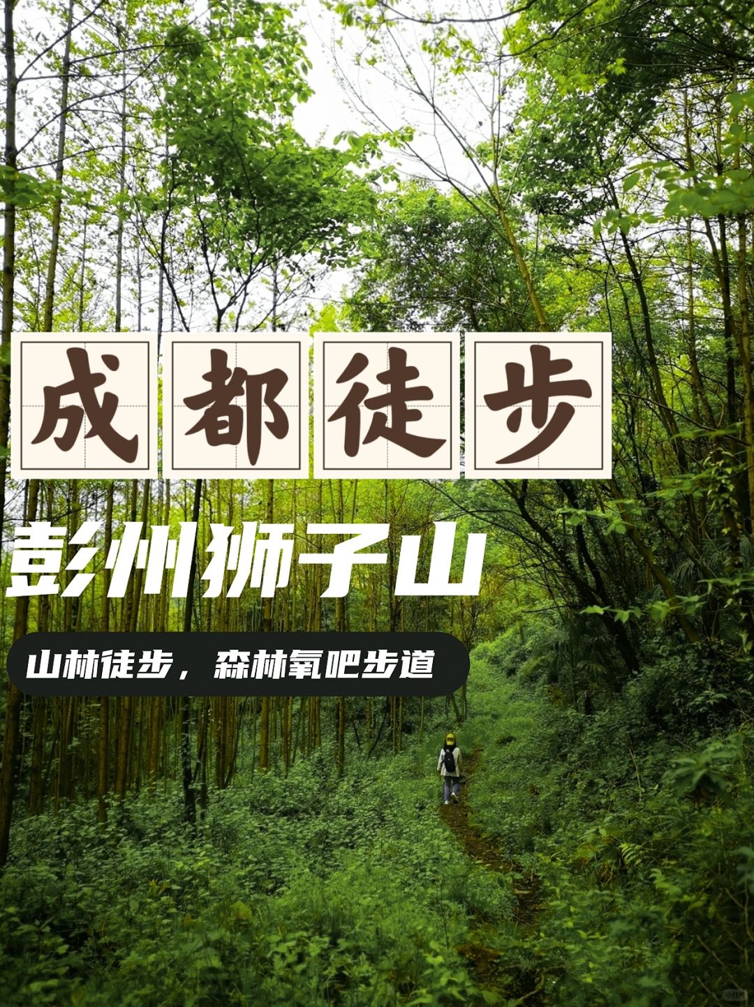 成都出发1.5h‼️狮子山亲子徒步路线1日游