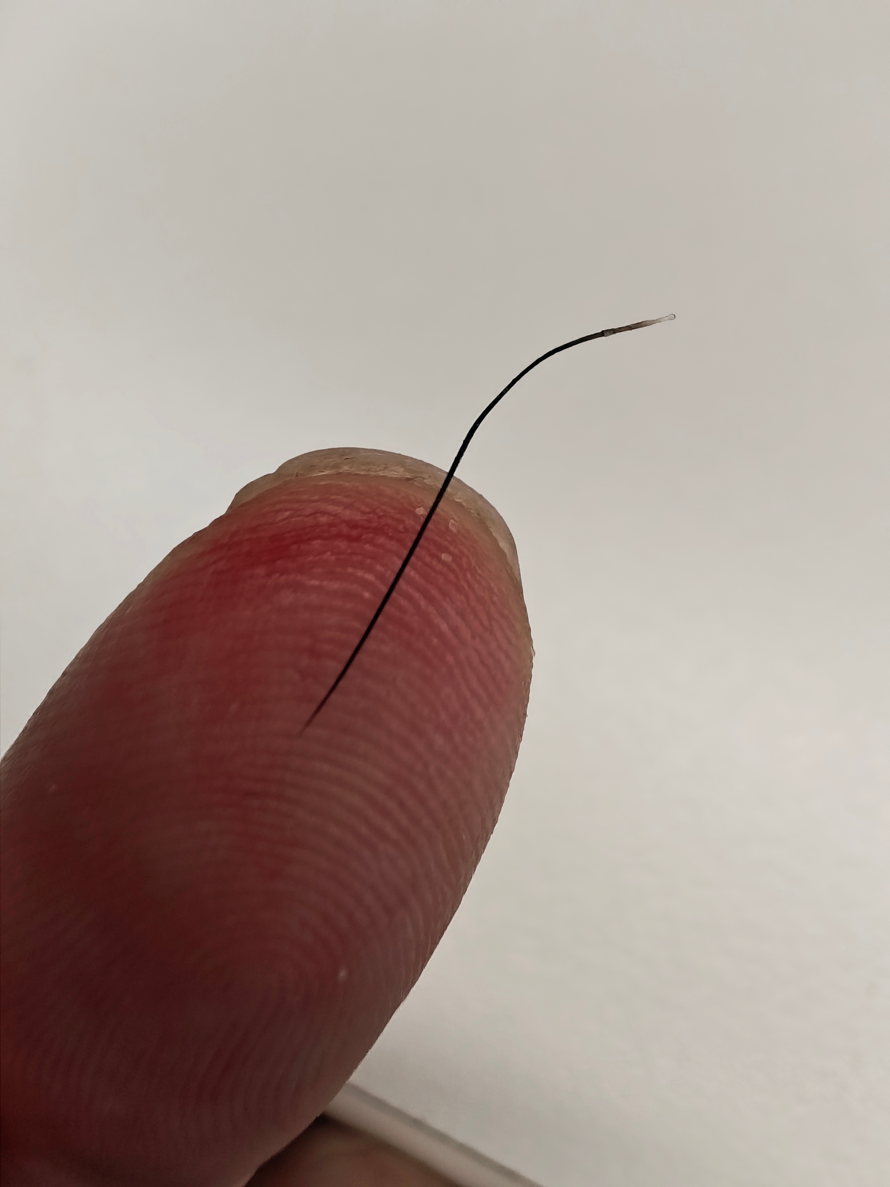 每次拔出一根超长的鼻毛，我都在心里感慨：好牛逼…  