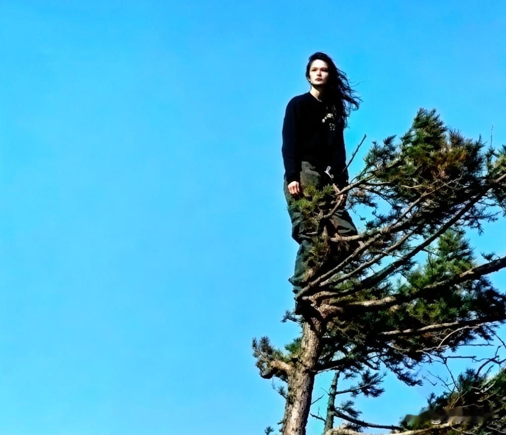 “要砍树，先砍我！”

一个23岁的姑娘茱莉亚·蝴蝶·希，在55米高的大树上住了