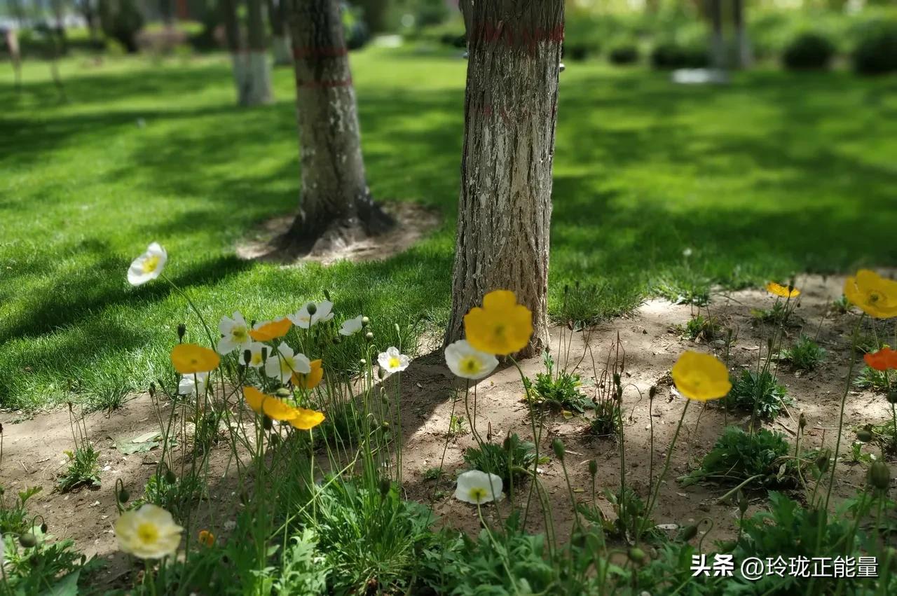 想要人不欺——亮出底线；想要人远离——总诉苦水；想要人尊重——保持距离；想要人信