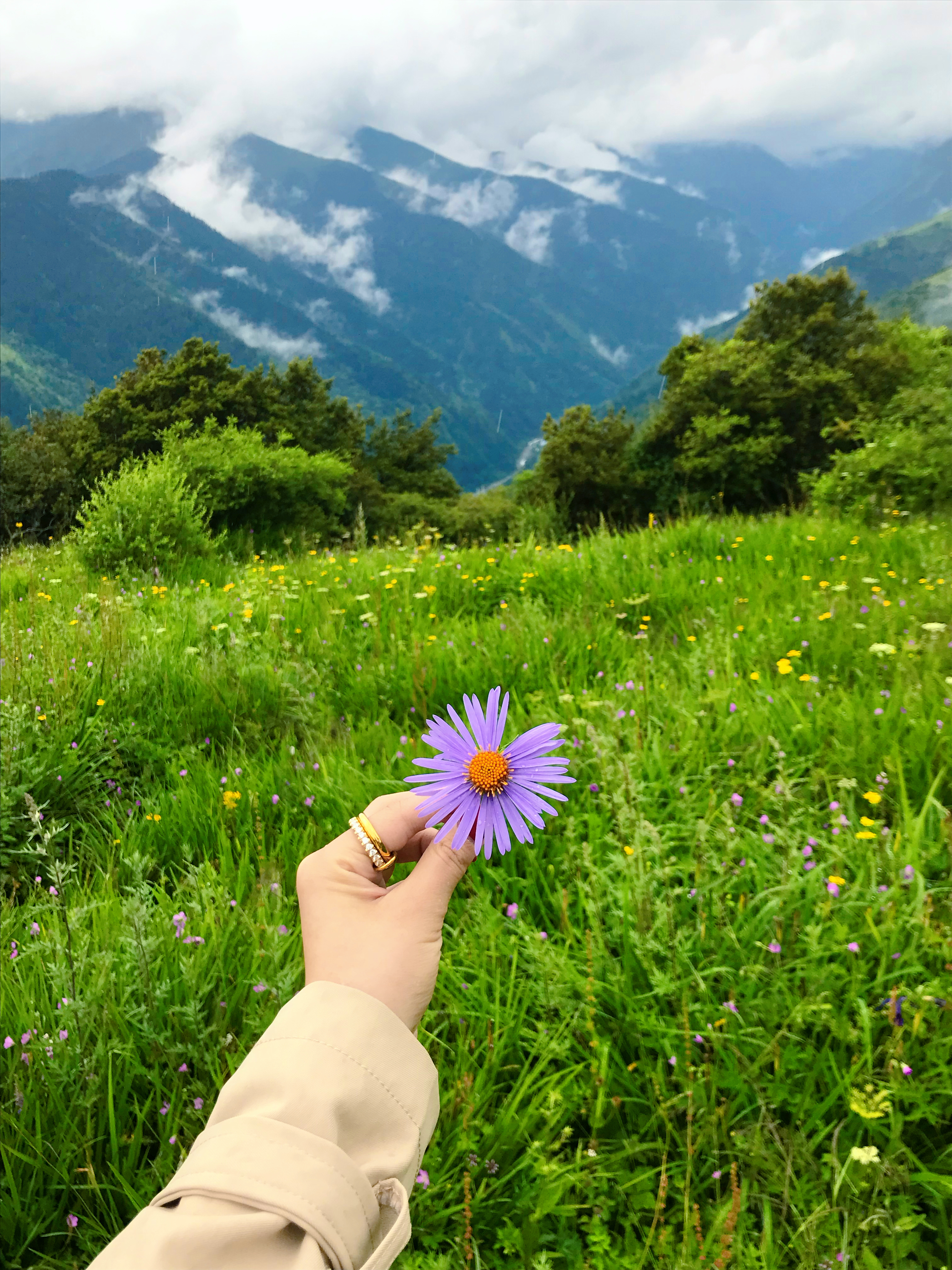 不敢想象有太阳会有多美！ 阿坝·巴朗山