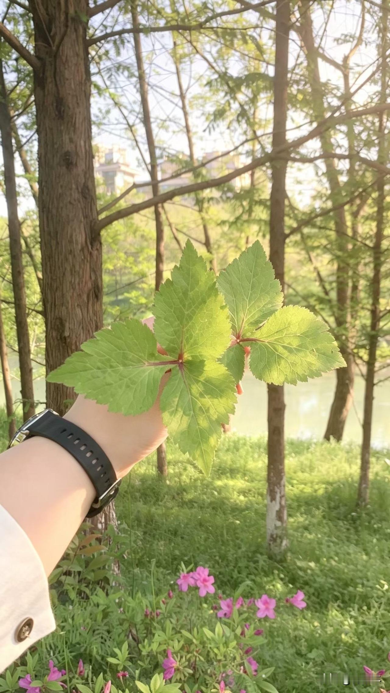 真心话茶局盛夏已至，万物生长。别让慵懒偷走你的时光，去跑跑步，晒晒太阳，把心事交