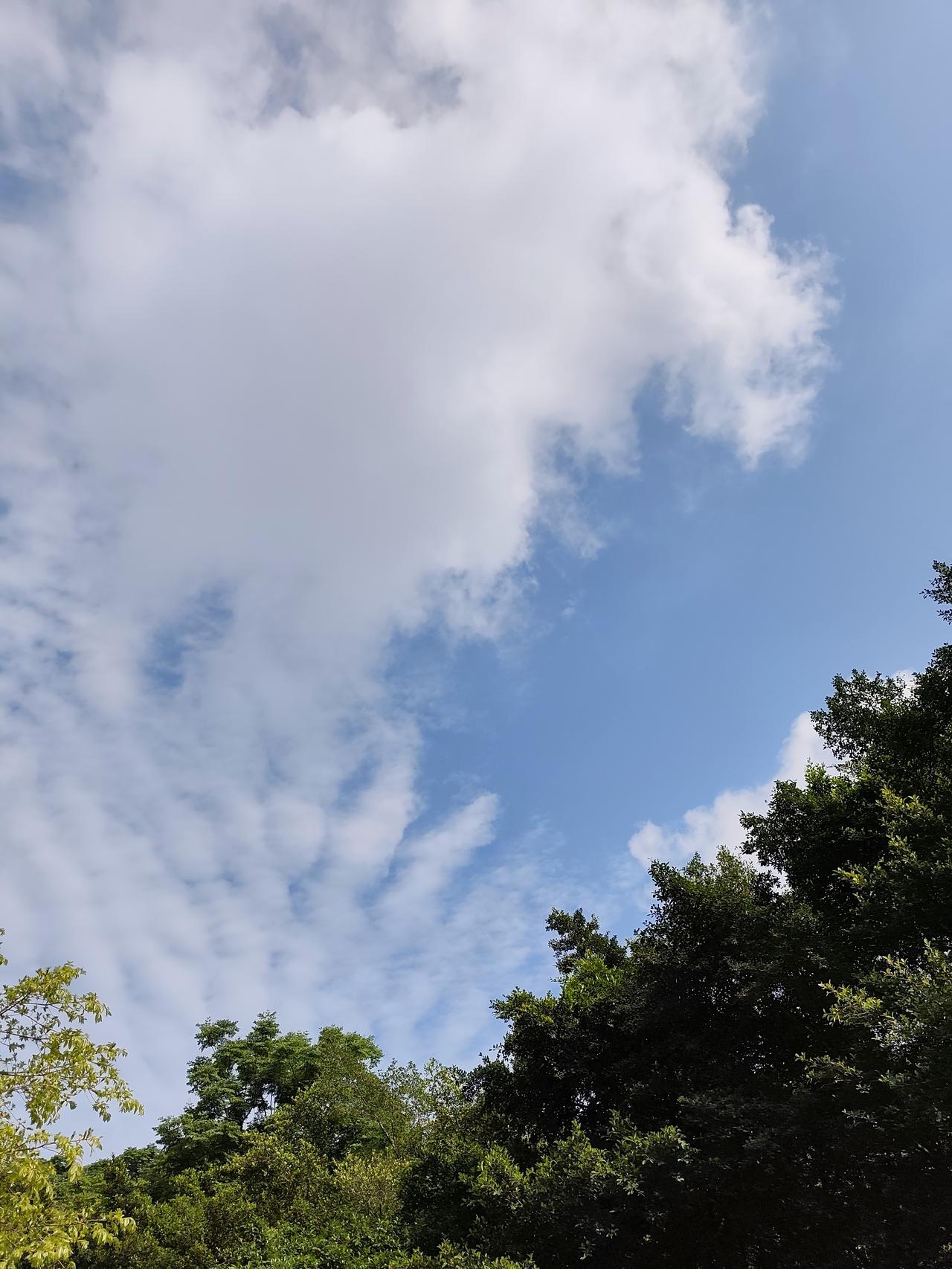 重庆的雨总是这么持续、缠绵，好像已经免费包月了。
一个星期都没有看到晴天了。