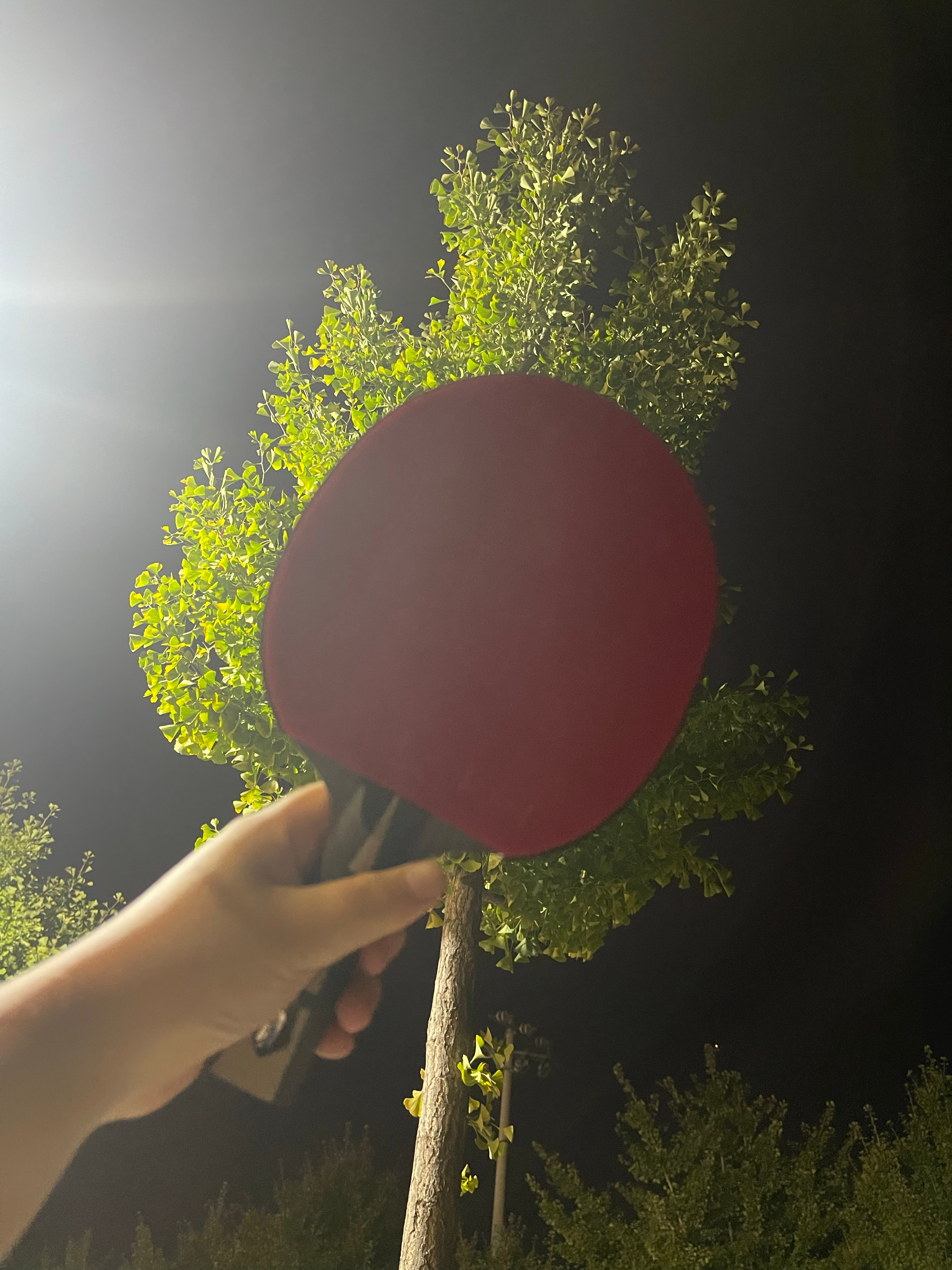 胖头莎昱_[超话]  拉肚子也不能耽误我打乒乓球[允悲][允悲][允悲] ​​​