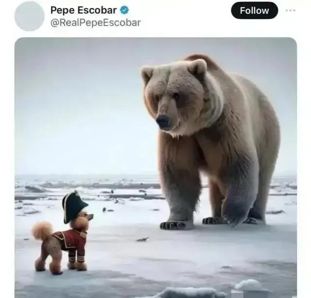 国外网友制作的俄军与法军示意图，你别说这还挺形象的。但是，俄军也不可以掉以轻心，