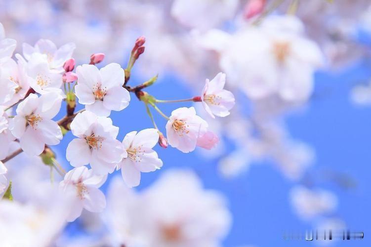 笑话！农民是国家的公民，就不用遵守国家的相关法律了吗？就能当特殊公民？凌驾于法律