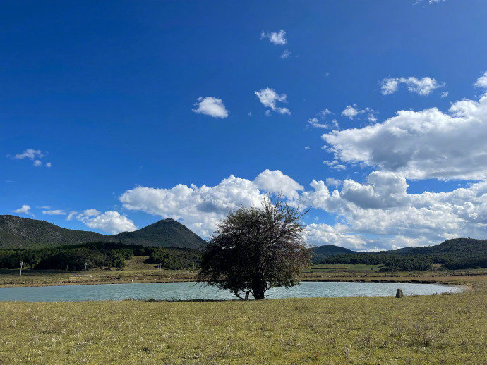 人生就像是魔术，你得不断地走到各种魔术表演的舞台背后，去看清背后隐藏的机关，获得