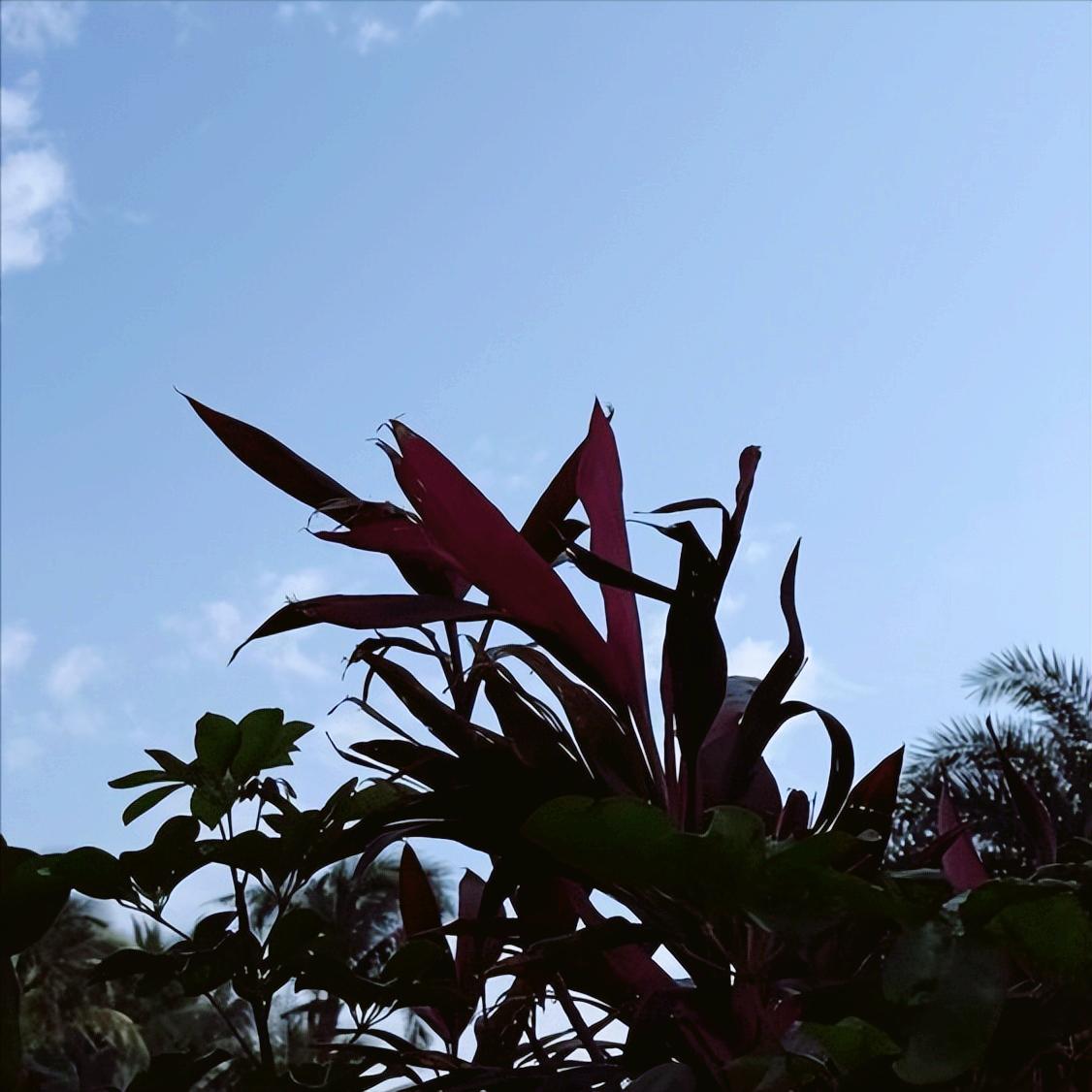 今天   执纪审查中管原官员1人
 
今天16:00，执纪审查中管原官员1人，为