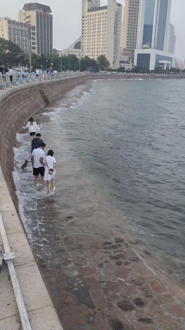 总有人不听劝，海水都这样了还不上岸[惊呆]