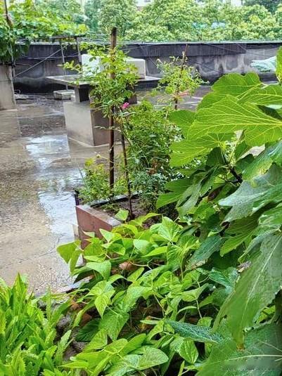 我的今日状态：😁轻松愉快
我这里的天气：⛈️雷雨

一早雷声雨声雨下个不停，这