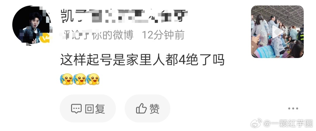 看看这家的素质！那就全部反弹给它自己，一定！！！还有，我用得着发它家起号？xpx