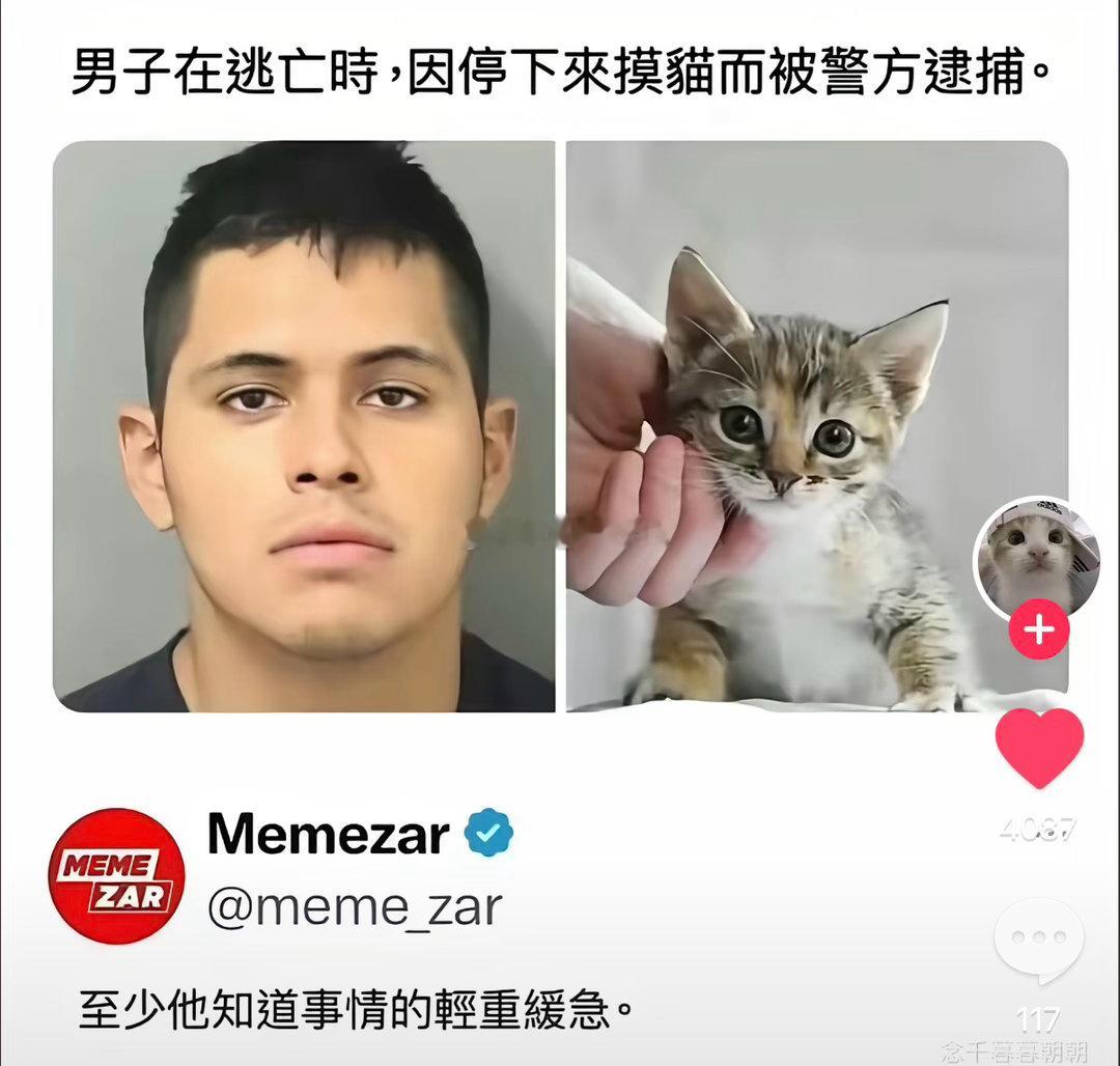 万一小猫就是警察局里的人呢？ 