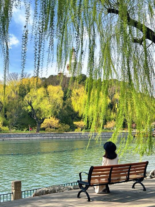 北海公园的春天这条路线才是精髓！4.1实拍