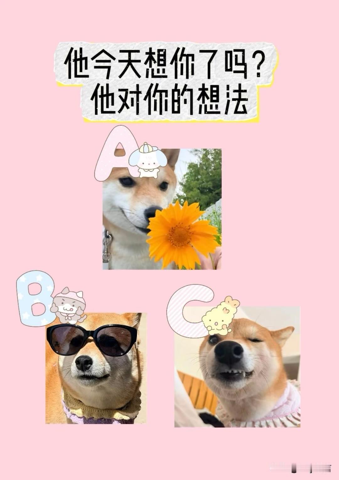 我的首张AI权益信用卡他今天想你了吗?他对你的想法