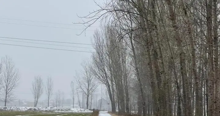 1988年鱼台的第一场雪——在山东鱼台部队农场当庄稼兵（九）