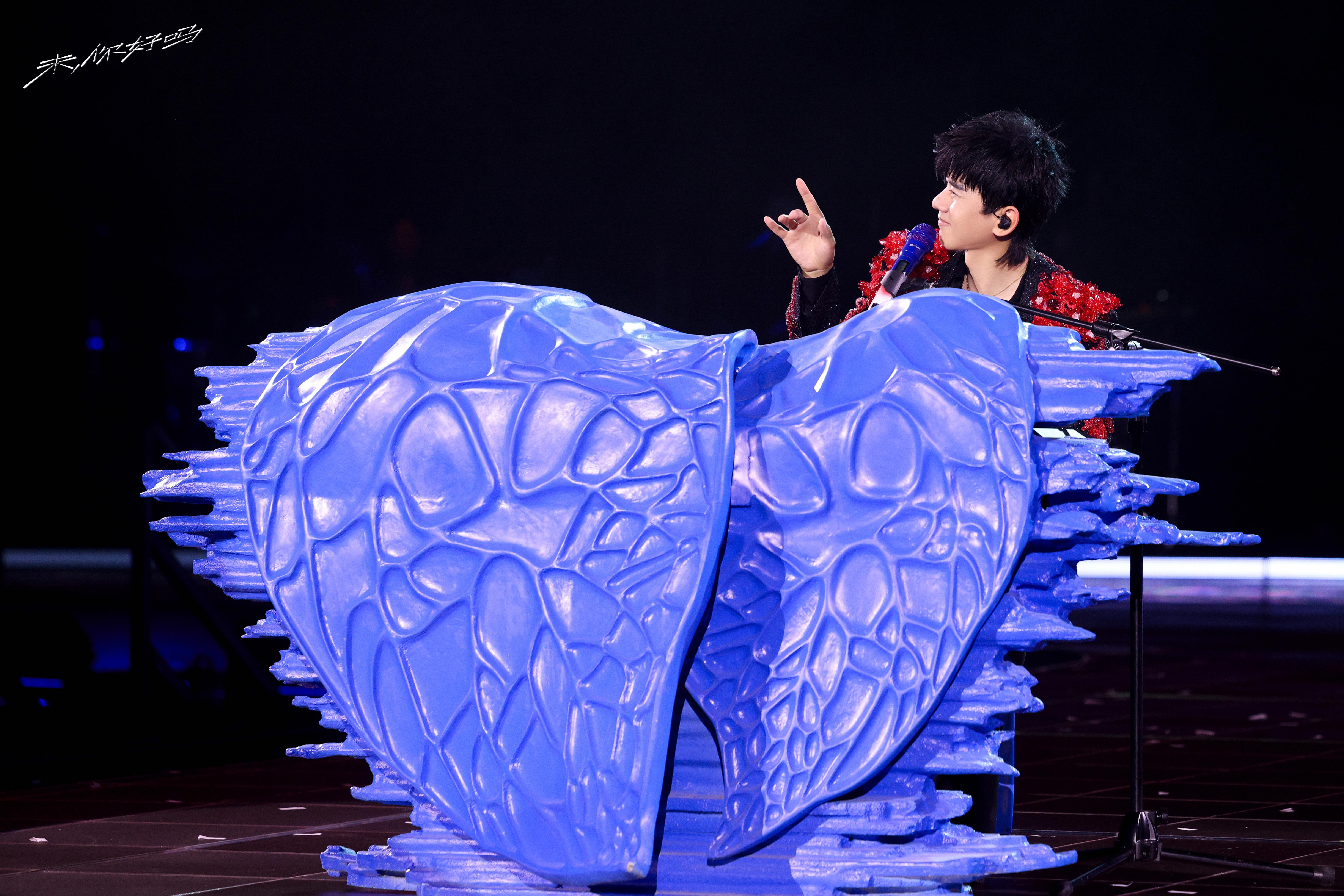 这是个什么造型的琴 