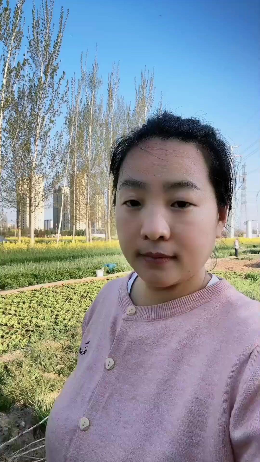 1️⃣两个黄金时段：一是四月20日至五月10日，二是六月10日至六月20日，这两