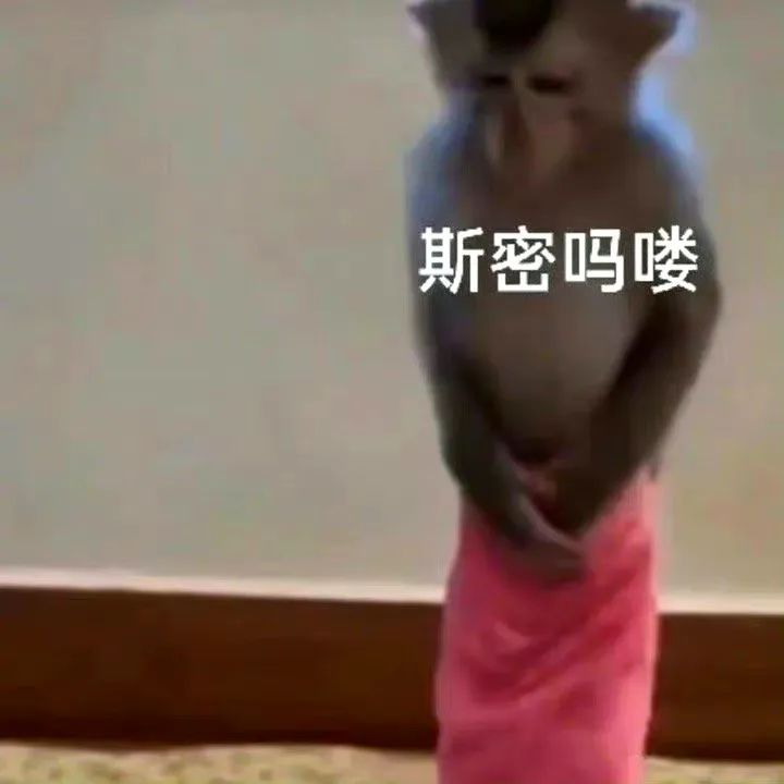 快抢！新表情包来袭！ 更新不易，拿图点赞[心]更多表情包请看主页[心] ​​​