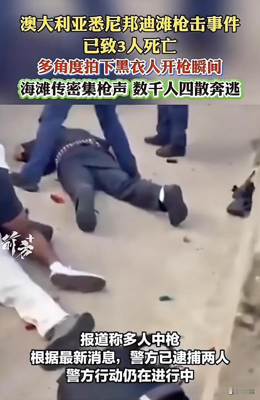 澳大利亚广播公司文 悉尼警方称，两名枪手周日在悉尼邦迪海滩枪杀了9人。一名枪手被