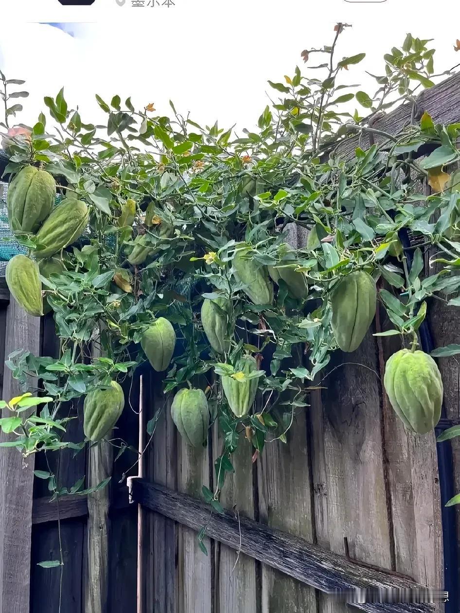 我们的消费观，正在逐渐的被资本裹挟，大家有没有留意到这样一种现象？过去我们使用洗