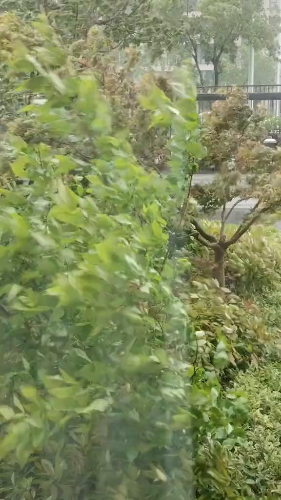 所有人感受，感受，感受。