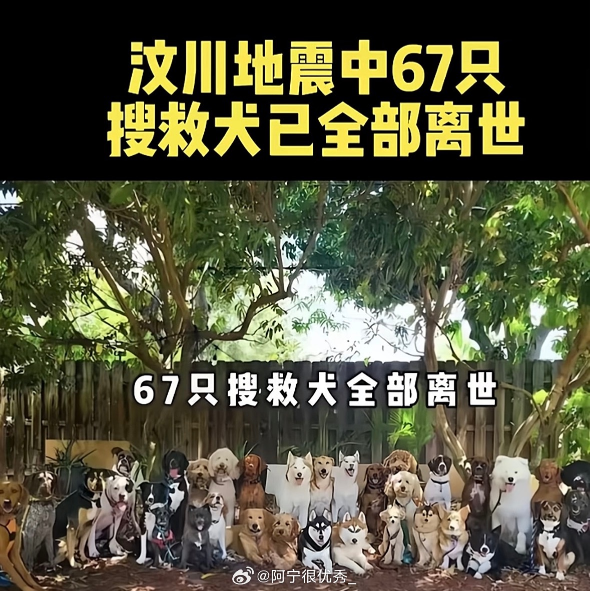 致敬汶川地震的无言英雄 