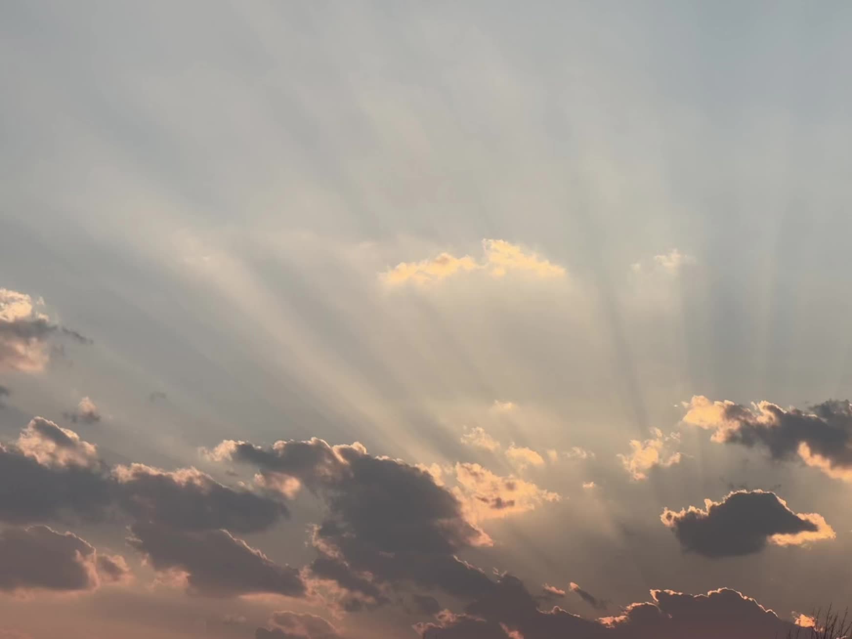 “感情是流动的 ，何必激动着要理由～”