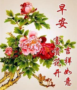今日阴云柔覆，南风轻拂带着微凉的惬意，体感31度，祝您早安吉祥！

今日青岛，2