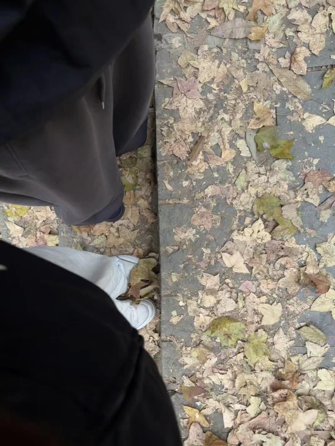 不想上班想上山