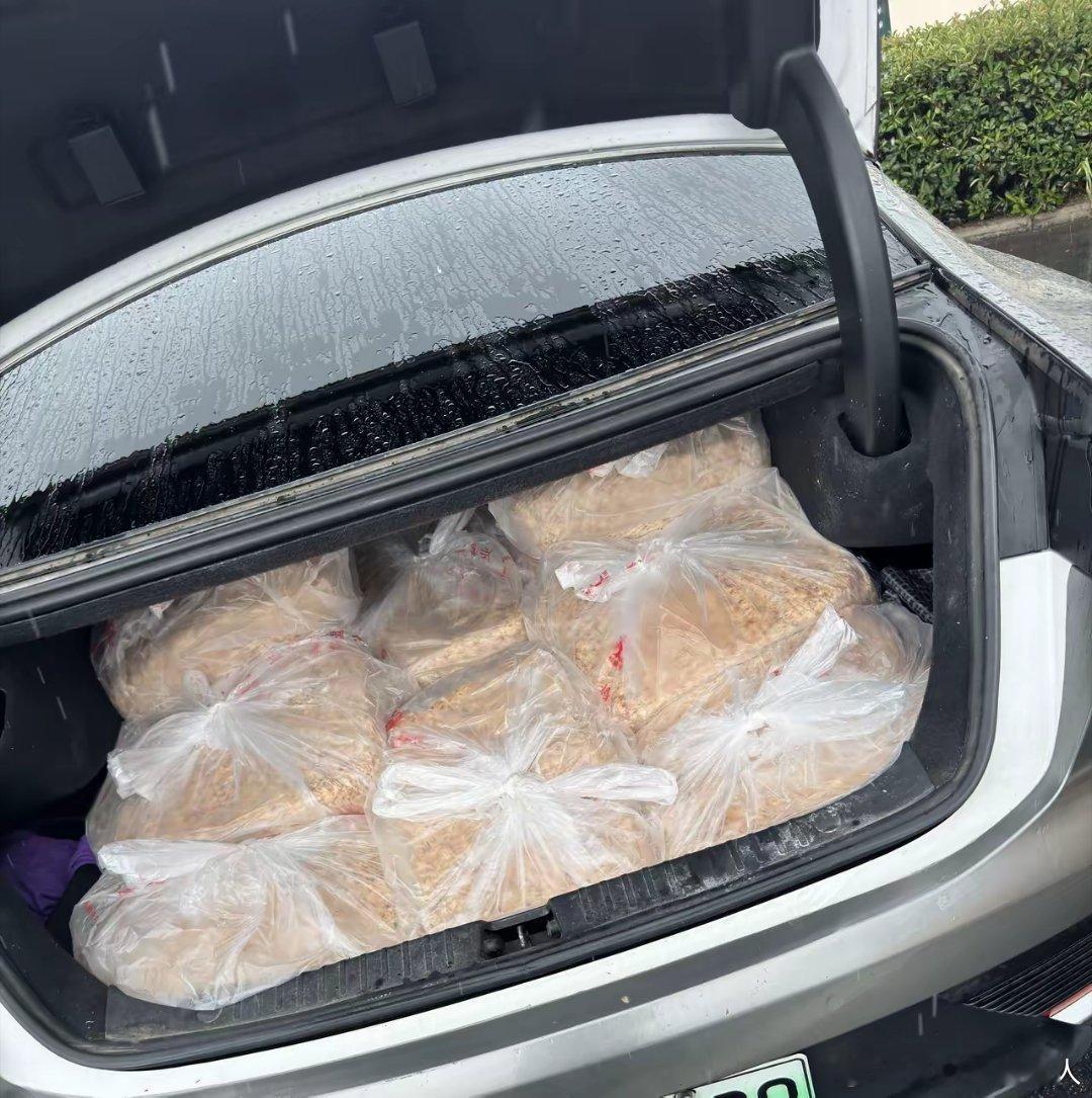 比亚迪最大载重375kg，车主们别慌，帮你们试过了，拉了一千五百斤左右东西，加一