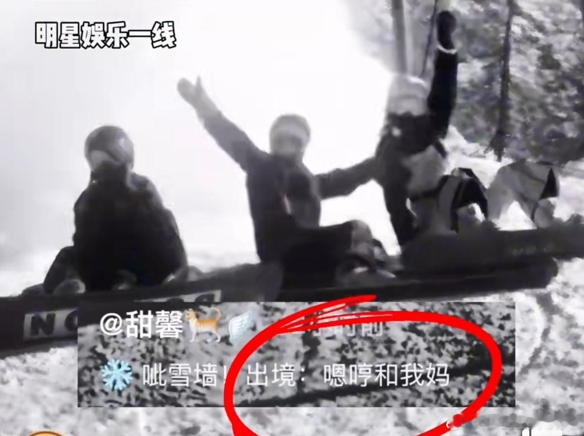 甜馨和嗯哼一起去滑雪了 转眼萌娃都成大孩子了[送花花 